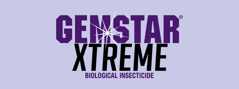 GEMSTAR EXTREME - Sipcam Australia